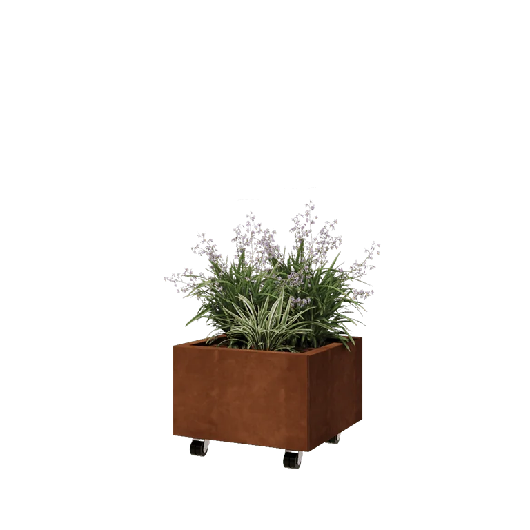 Corten terasest lillekast - Ruut - 50 x 50 x 30 cm - Põhjalauaga - Ratastega