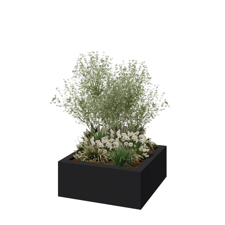 klaaskiudne lillekast - Ruut - 100 x 100 x 40 cm - RAL7021 matt (must hall) - Põhjaga