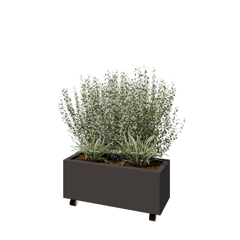 Terasest lillekast - Ristkülik - 80 x 30 x 30 cm - RAL7016 matt (antratsiithall) - Põhjalauaga - Ratastega