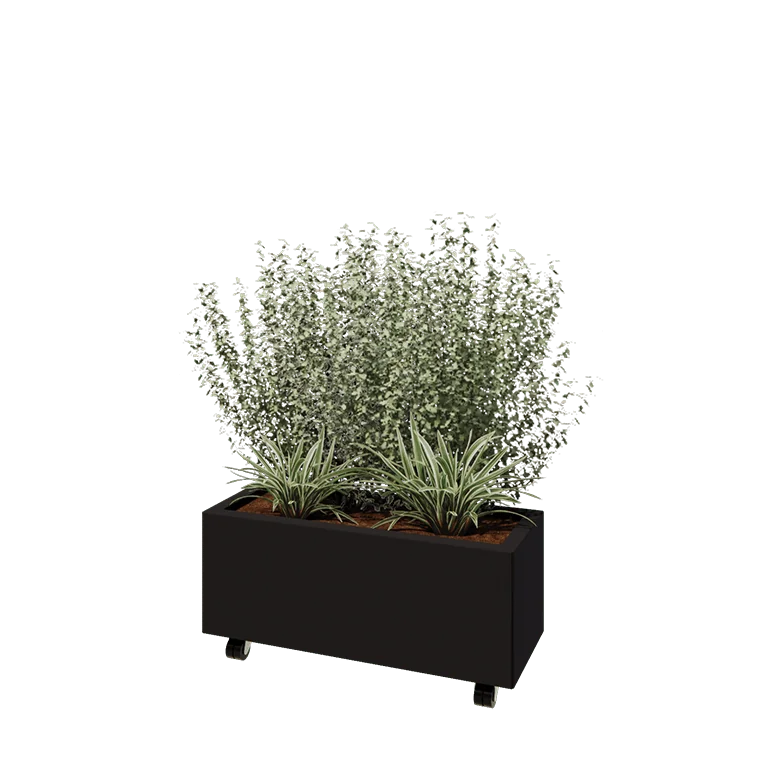 Terasest lillekast - Ristkülik - 80 x 30 x 30 cm - RAL9005 matt (must) - Põhjalauaga - Ratastega