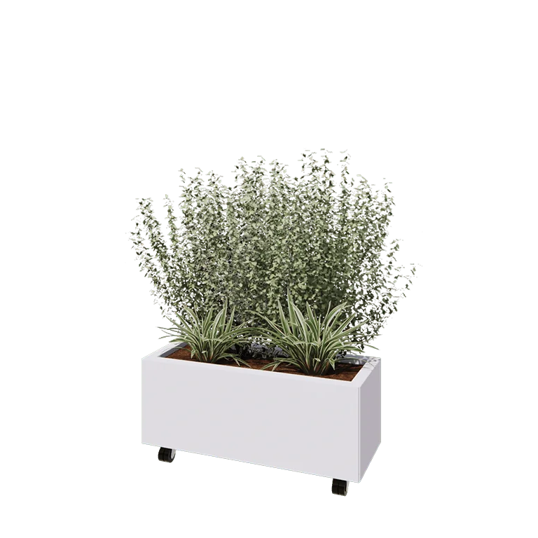 Terasest lillekast - Ristkülik - 80 x 30 x 30 cm - RAL9010 matt (valge) - Põhjalauaga - Ratastega