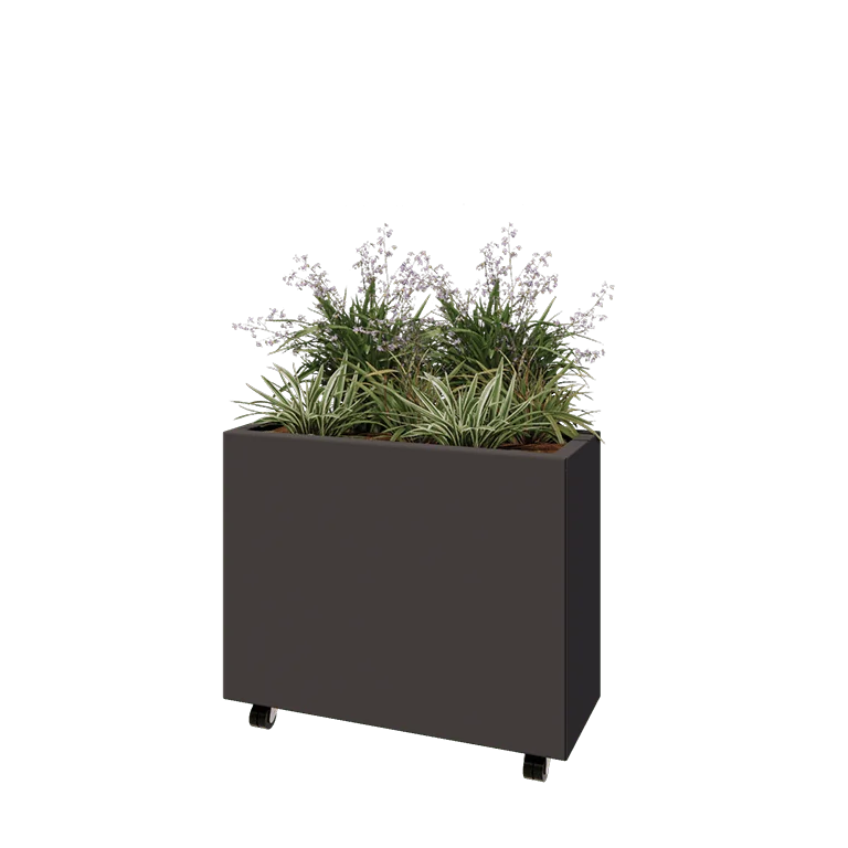 Terasest lillekast - Ristkülik - 80 x 30 x 60 cm - Muu RAL värv - Põhjalauaga - Ratastega