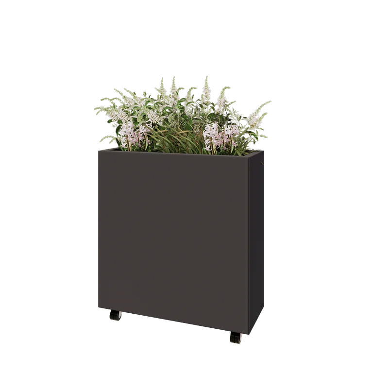 Terasest lillekast - Ristkülik - 80 x 30 x 80 cm - RAL7016 matt (antratsiithall) - Põhjalauaga - Ratastega