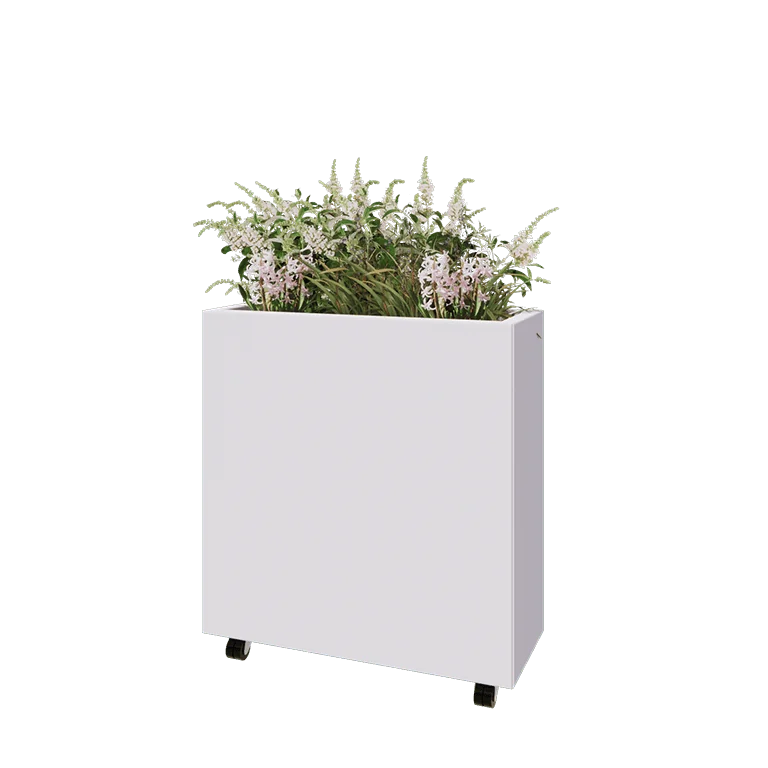 Terasest lillekast - Ristkülik - 80 x 30 x 80 cm - RAL9010 matt (valge) - Põhjalauaga - Ratastega